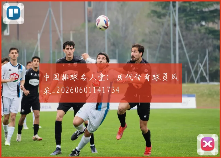 中国排球名人堂：历代传奇球员风采_20260601141734